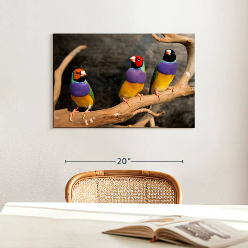 Rainbow Finches, 16" H x 24" W