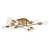 Brass is out of stock selected