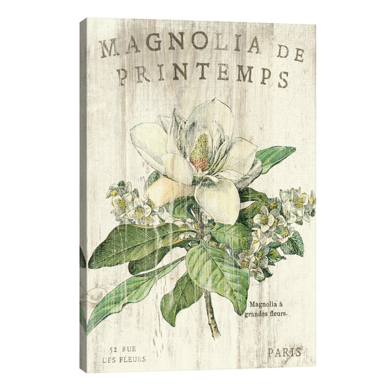 Magnolia de Printemps 1 Piece Wrapped Canvas Wall Art, 101.6 cm H x 66.04 cm W x 1.91 cm D