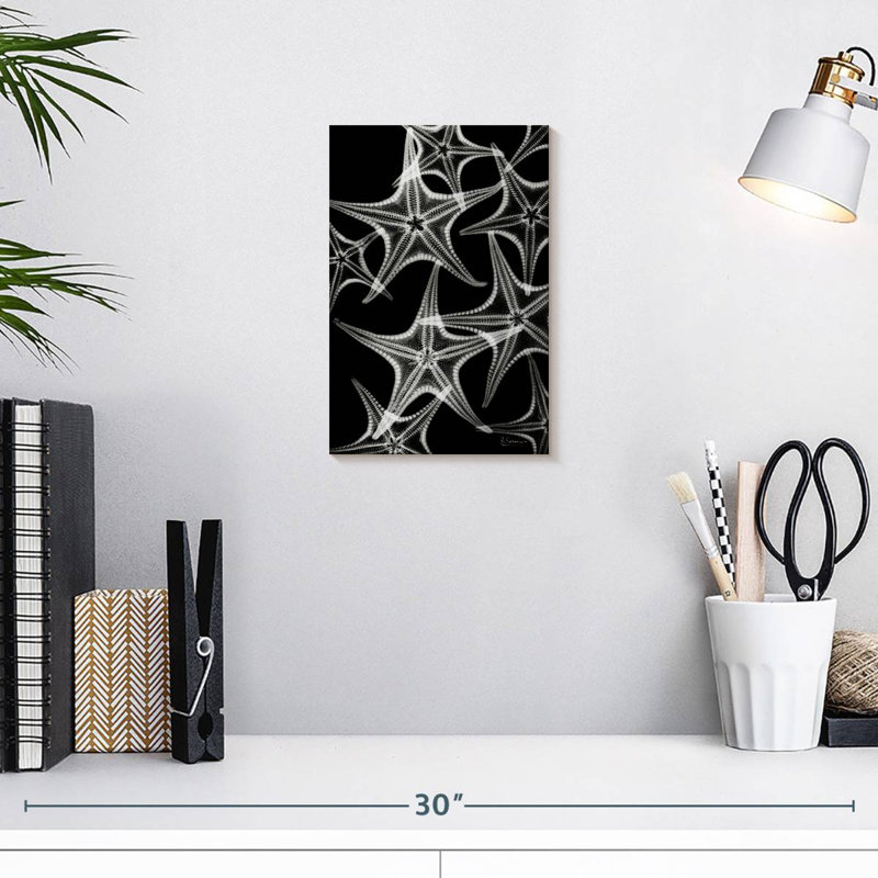 Brampt White Starfish, 12" H x 8" W