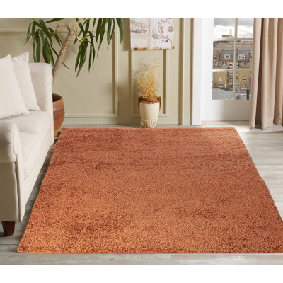 Esterly Solid Colour Shag Area Rug