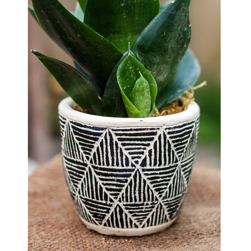Pot à fleurs en béton Bismack, H 4,3 po x l 3,9 po x P 2,7 po