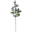 Berry Stem-278872039
