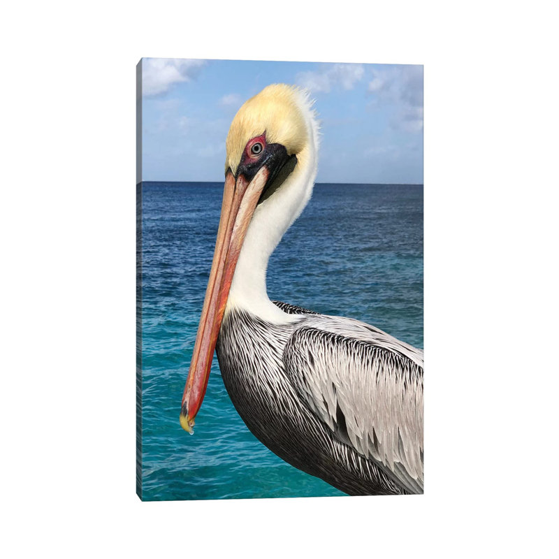 Pelican by Julie Derice - Wrapped Canvas Print, 45.72cm H x 30.48cm W x 1.905cm D