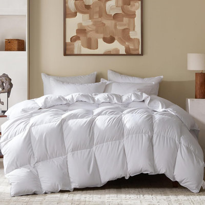 All Season Goose Down Duvet Fyffly Comforter with Noise-Free Soft Cotton Blend Fabric,108x98inches