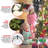 Easy Set-Up 7' Lighted Christmas Tree