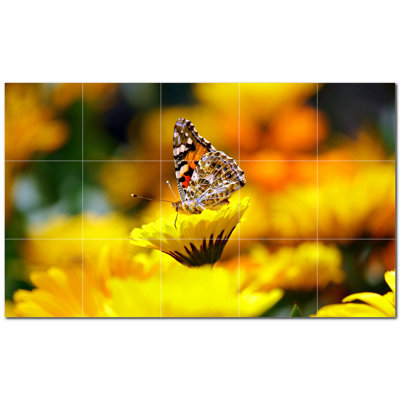Butterfly Photo 12'' x 12'' Satin Ceramic Decorative Mural