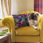 Indoor / Outdoor Cushion-1874992851