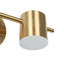 Zenley Iron LED Armed Sconce