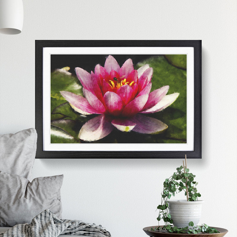 Pink Water Lily Flower Vol.3 - Picture Frame Graphic Art, Black Framed, 48cm H x 65cm W x 2cm D
