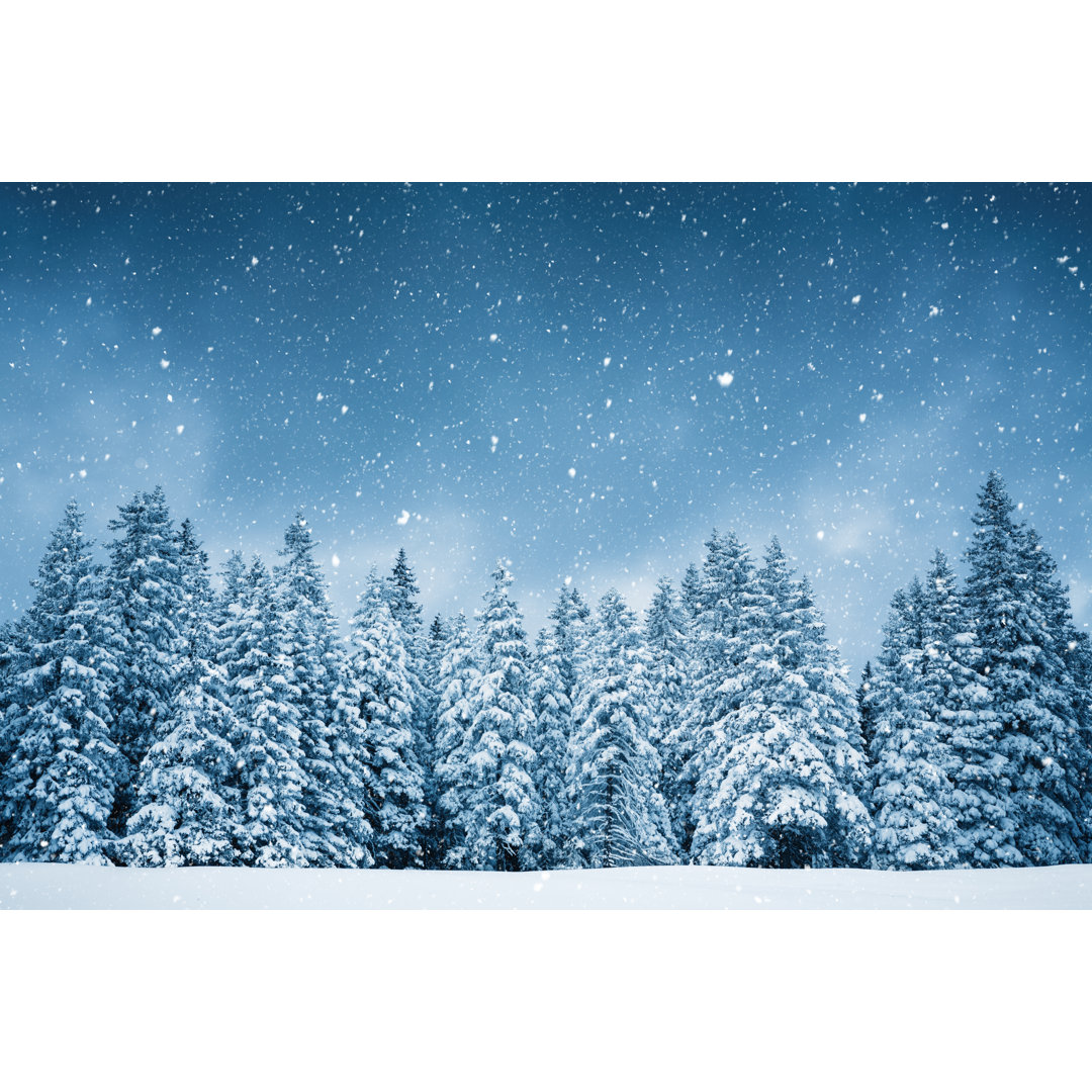 Pure Winter - Kunstdrucke auf Leinwand - Wrapped Canvas