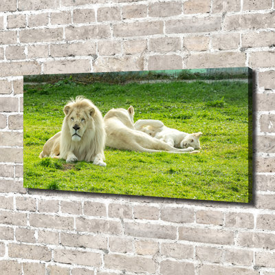 Beige Lions - Wrapped Canvas Print