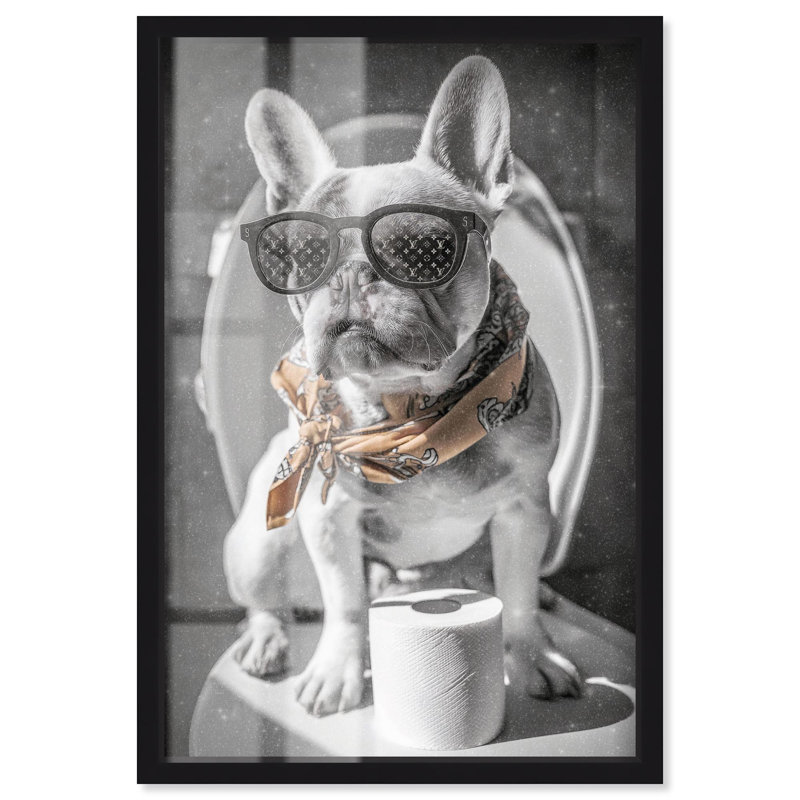Écharpe Frenchie, H 37 po x l 25 po, Noir
