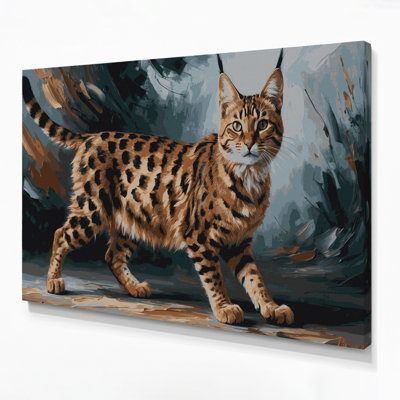Cats Pixiebob Gray Canvas Wall Art