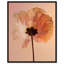 Amber Radiance II Floral & Botanical Canvas Print by Oliver Gal, Black Frame, 16 x 20-963216761-963216762