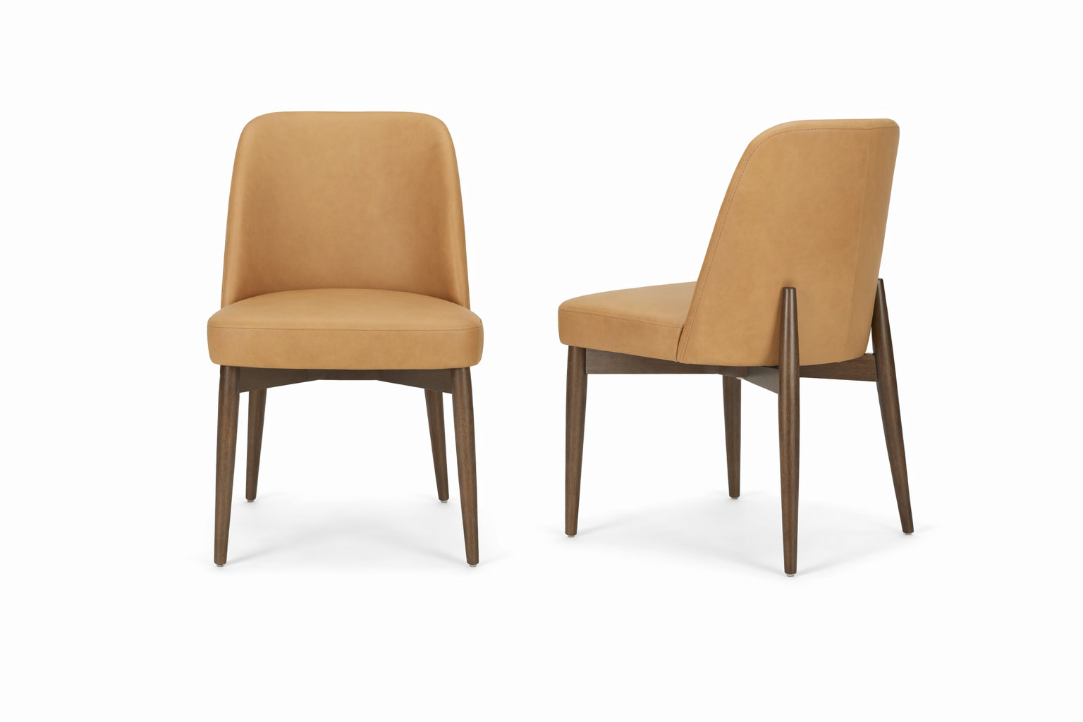 Bacco Genuine Leather Dining Chair