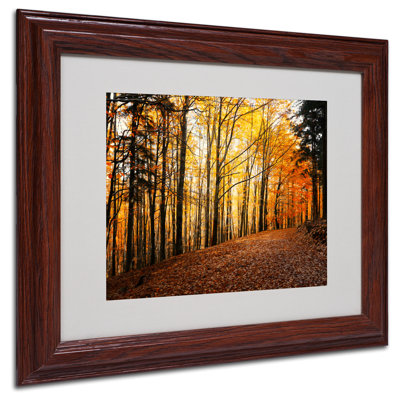 "feuilles" par philippe sainte-laudy,, reproduction de photo encadrée Halke