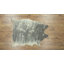 Tapis gris Lilianna