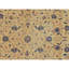 Hand Knotted Wool Oriental Area Rug in Ivory And Blue