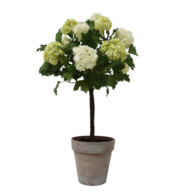 Boule de neige en pot