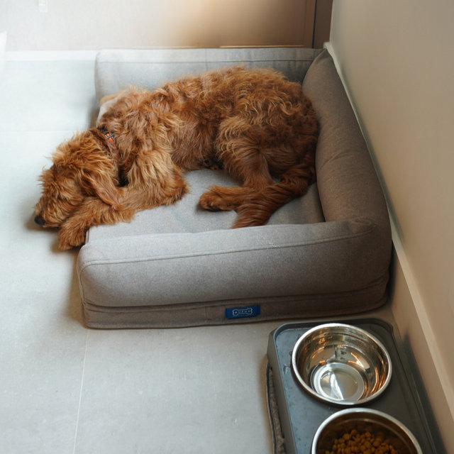 Lit pour chien The Original Rufus, Champignon, H 9 po x l 36 po x P 27 po