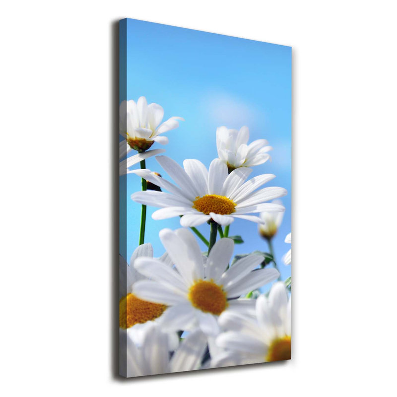 Daisies - Wrapped Canvas Print