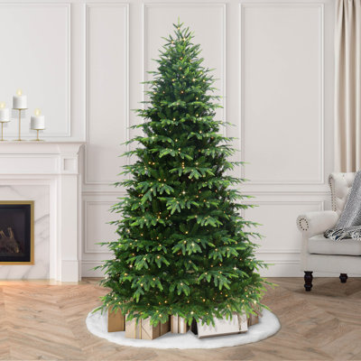 90' Lighted Spruce Christmas Tree