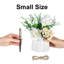 Arrangement in Vase
