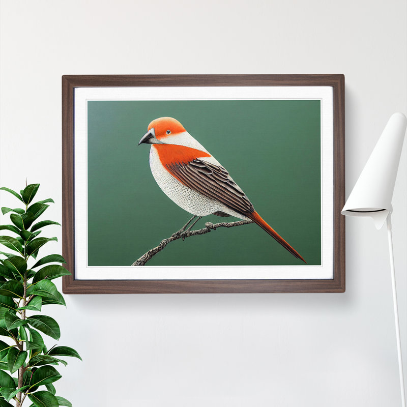 Engaging Bird - Single Picture Frame Print, 25cm H x 34cm W x 2cm D, Walnut Framed