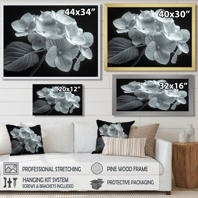 Monochromie élégante silhouette hortensia - impression d'art mural hortensia, Encadrement argenté, H 16 po x l 32 po