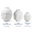 Vase Muse Dora Maar-61903877