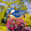Piquet de jardin Senecca