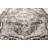 Darwen Performance Oriental Indoor Rug-1659594370