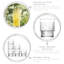 Helen 0.52ml Highball Glass Set
