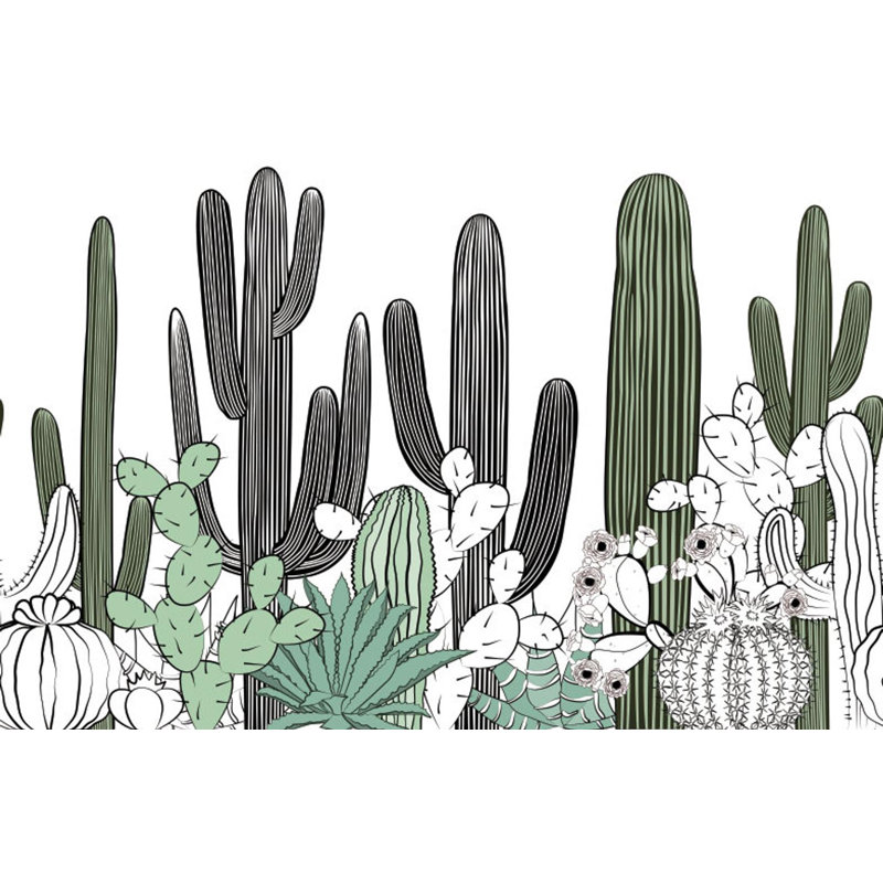 Jaylene Matte Wall Mural, 624cm W x 219cm L