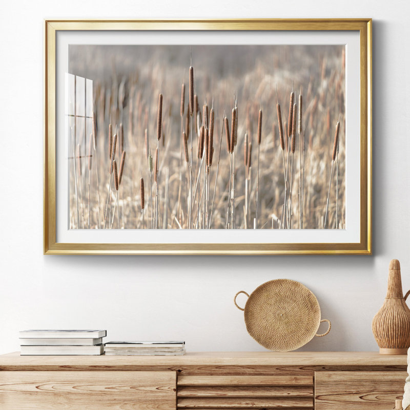 Summer Tails - Photographie avec cadre photo, H 22,5 po x l 30,5 po x P 1,5 po, Papier avec cadre doré