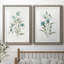 Linen Botanical III - ensemble de 2 reproductions d'art-1345068790-1345068788-1345068775