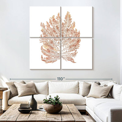Harnek Pacific Sea Mosses I White