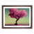 Walnut Framed