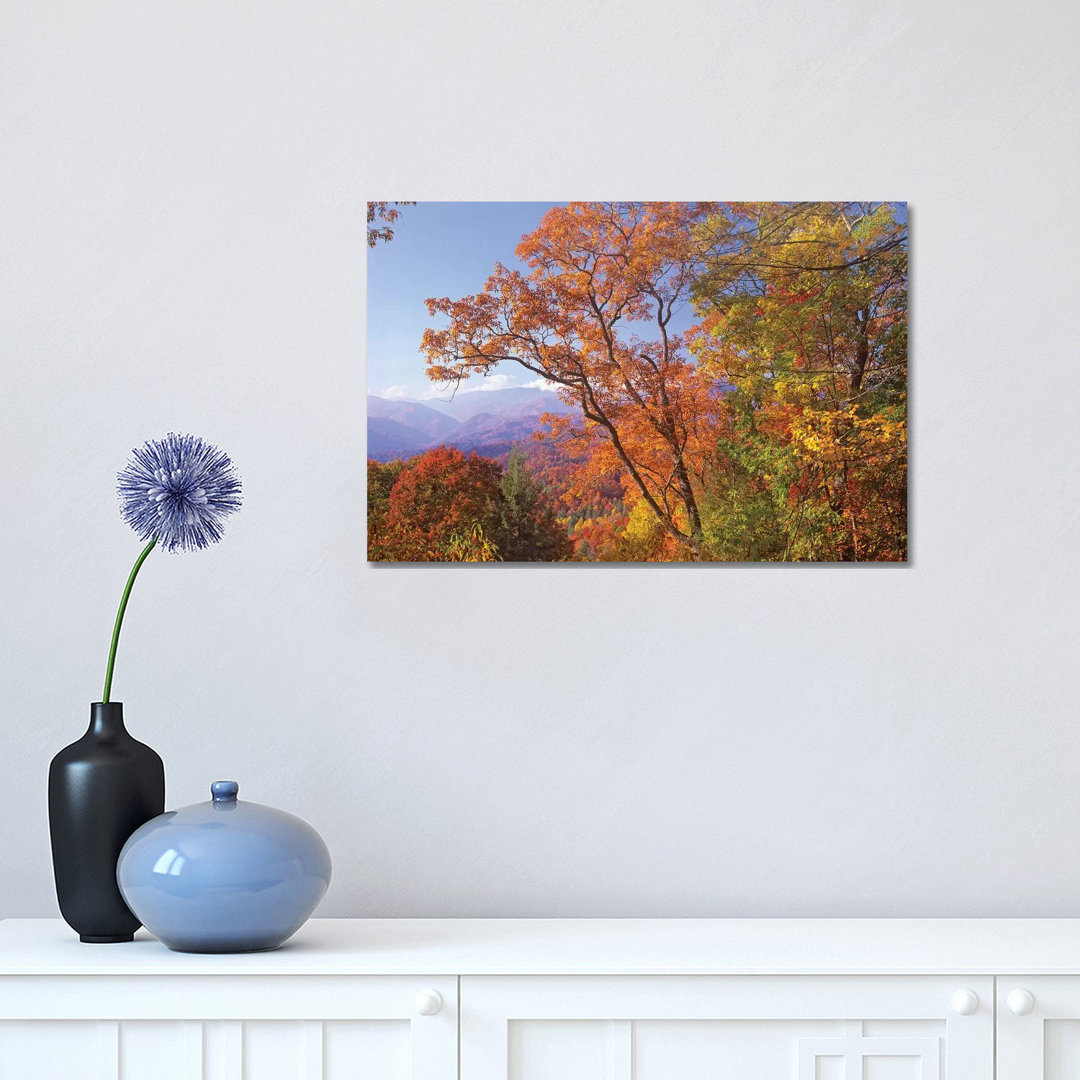 Great Smoky Mountains From, Blue Ridge Parkway, North Carolina by Tim Fitzharris - Wrapped Canvas Print