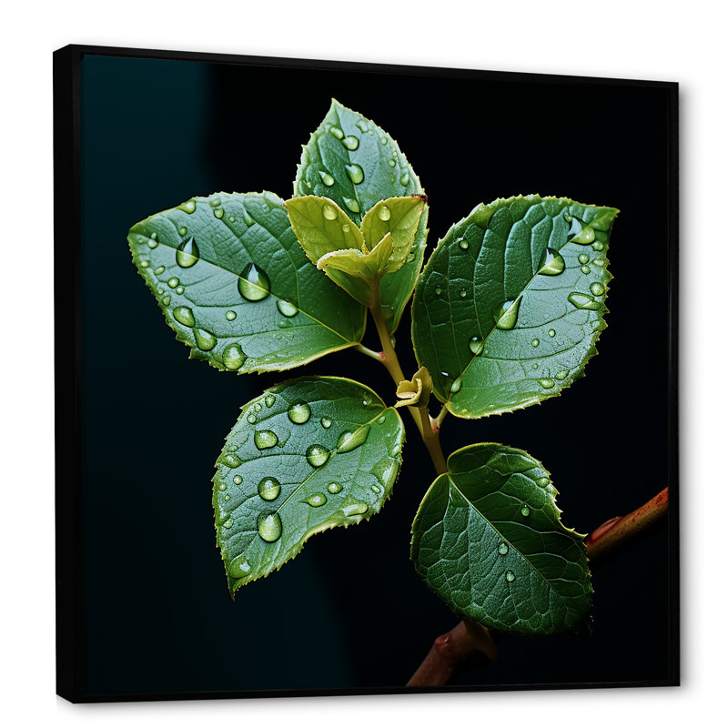 Bleu sarcelle Tranquility Leaf Expression I, H 24 po x l 24 po x P 1 po, Cadre flottant noir