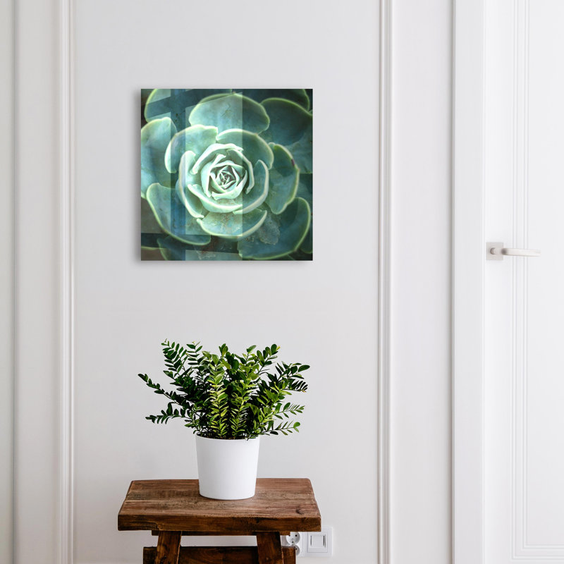 Key box for home, Opens to the right, 30x30x5, Black, A green rosette perfect for relaxation, 