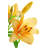 Lilies by Adisa - Wrapped Canvas Print-1272575400