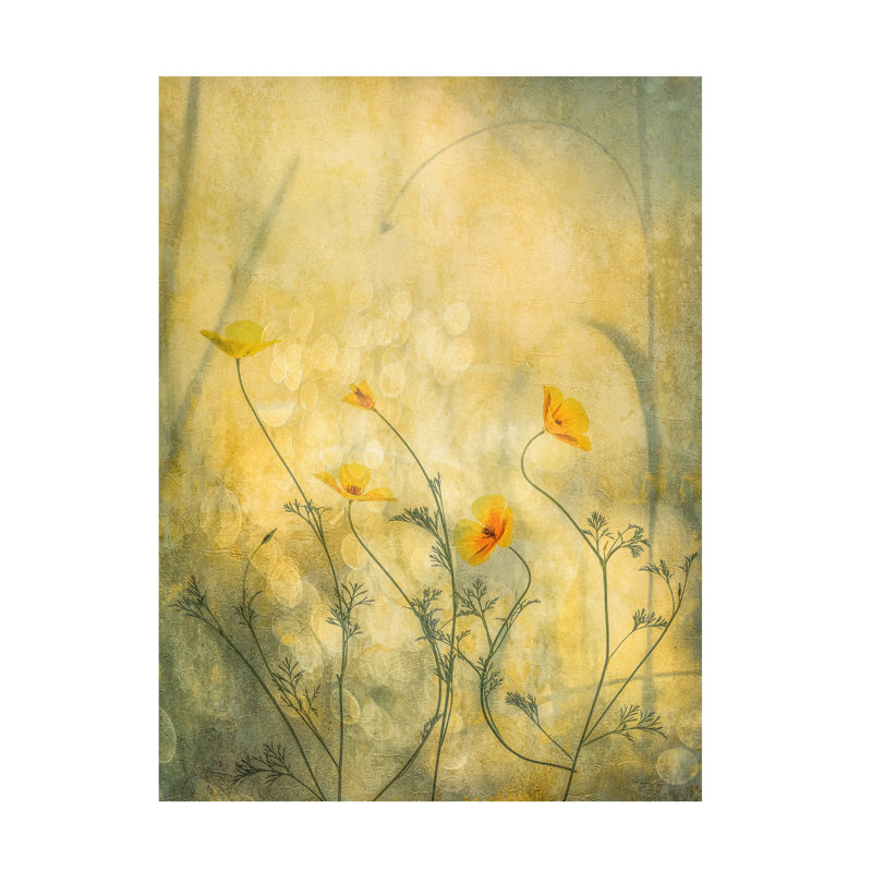 Art sur toile, folies bolognaises, bolche, H 24 po x l 32 po