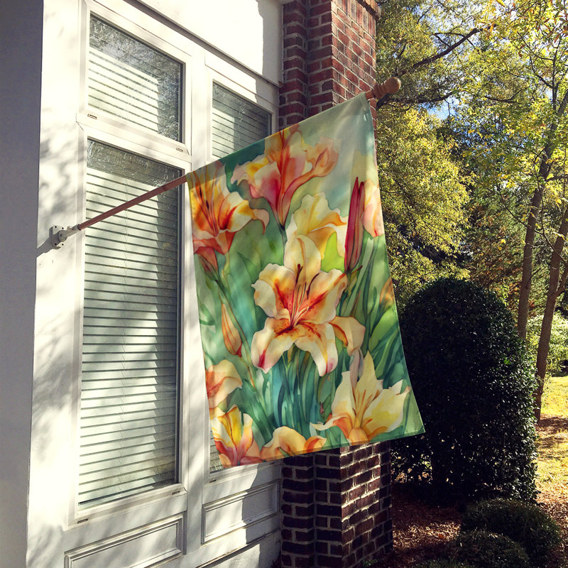 Double Sided 40'' H x 28'' W Polyester House Flag