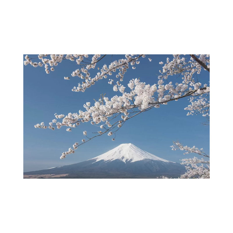 Spring In Japan XXVII by Daniel Kordan - Wrapped Canvas Print, 20.32 cm H x 30.48 cm W