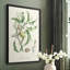 Antique Ammond Botanical IV, reproduction encadrée - bois massif-227015159-227015165