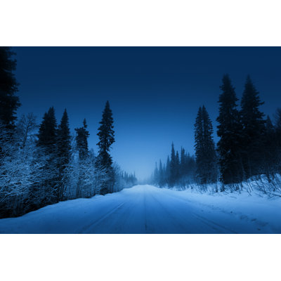 Winter Forest - Wrapped Canvas Print