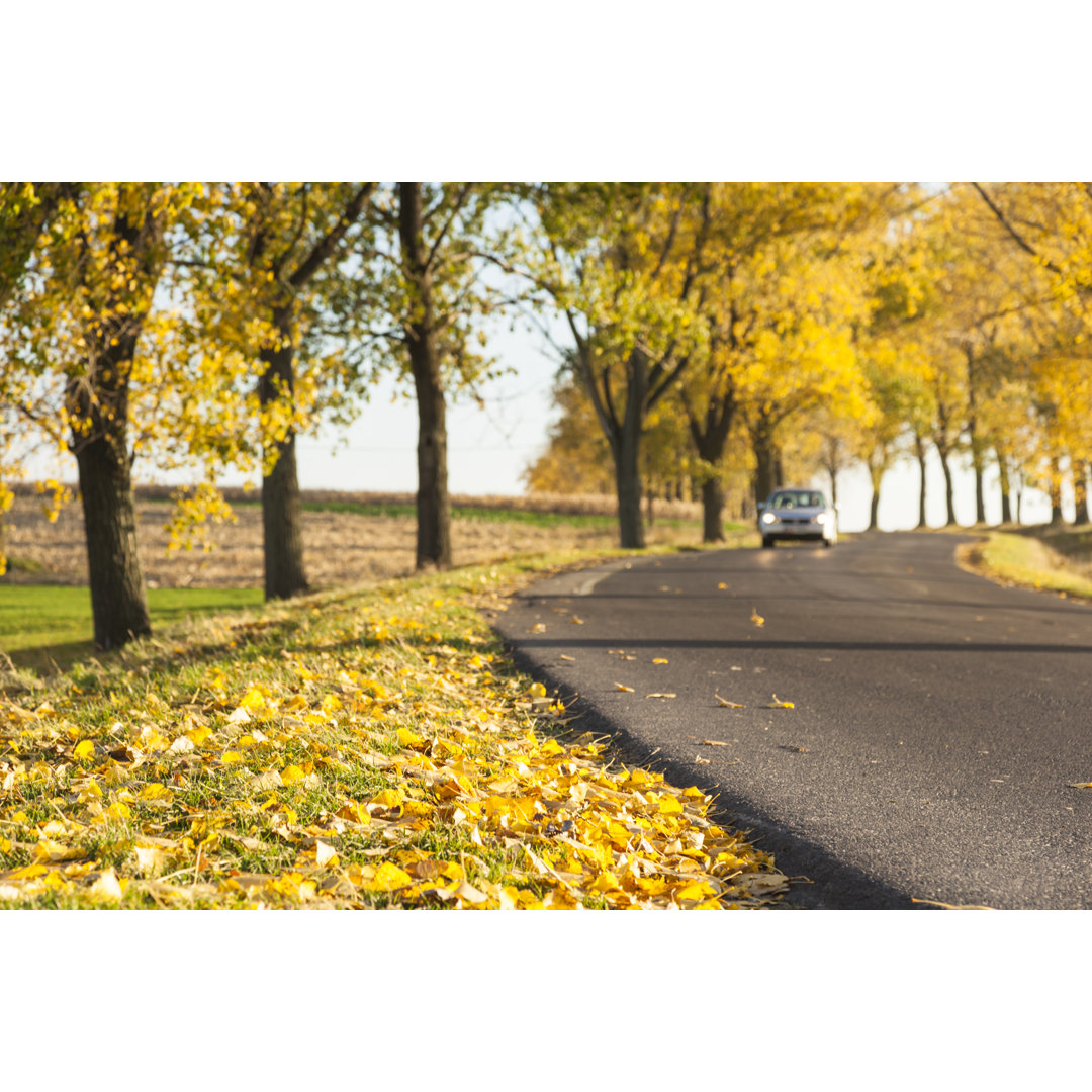 Straße im Herbst von Brzozowska - Druck auf Leinwand ohne Rahmen