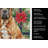 Neapolitan Mastiff Christmas PoinsettIas Kitchen Towel-2080583735